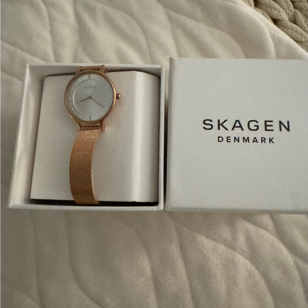 Skagen Women's Rose Gold Mesh Watch